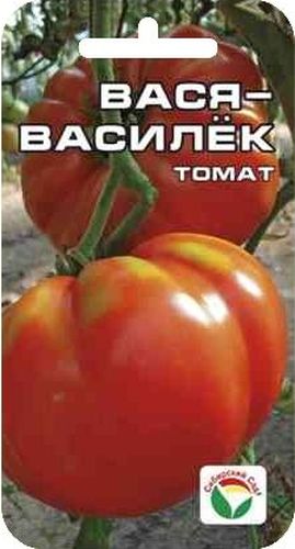 Семена Сибирский сад Томат. Вася-Василек, 20 штBP-00000464 Семена Сибирский сад Томат. Вася-Василек, 20 штBP-00000464В этом новом сорте удачно сочетаются такие достоинства, как крупноплодность (150-200 г), высокая урожайность (8-9 кг с 1 м2), прекрасные вкусовые качества зрелых плодов с высоким содержанием сахаров и сухого вещества. Плоды плоскоокруглые, красные, глянцевые, имеют товарный вид. Томаты плотные, но мякоть очень нежная, сочная. Хороши как в салатах, так и в консервации. Сорт очень терпим к экстремальным погодным условиям, не требует большого ухода и дает прекрасные результаты в открытом грунте.Посев на рассаду производят за 50-60 дней до высадки растений на постоянное место. Оптимальная постоянная температура прорастания семян 23-25°С. При высадке в грунт на 1 м2 размещают 5 растений. Сорт хорошо реагирует на полив и подкормки комплексными минеральными удобрениями.Для ускорения процесса всхожести семян, оздоровления растений, улучшения завязываемости плодов рекомендуется пользоваться специально разработанными стимуляторами роста и развития растений.