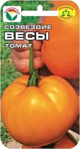 Семена Сибирский сад Томат. Весы, 20 штBP-00000472 Семена Сибирский сад Томат. Весы, 20 штBP-00000472Весы - знак сбалансированности, умеренности и гармонии. С точки зрения здоровья им вредны кислоты, уксус, цитрусовые. Предлагаемый сорт с крупными желтыми плодами не только эстетически красив, но и максимально соответствует диетическим требованиям благодаря низкому содержанию кислот.Урожайный среднеранний сорт для закрытого грунта. Куст высотой более 1,5 м. формирует до 5 кистей с крупными оранжево-желтыми плодами массой до 700 г. Плоды мясистые, салатного назначения, рекомендуются для детского и диетического питания. Мякоть и стенки томатов плотные, что обеспечивает хорошую лежкость плодов и устойчивость к гниению. Урожайность сорта - до 10 кг с 1 м2. При сухости в теплице могут опадать завязи. Посев на рассаду производят за 50-60 дней до высадки растений на постоянное место. Оптимальная постоянная температура прорастания семян 23-25°С. При высадке в грунт на 1 м2 размещают 3 растения. Сорт хорошо реагирует на полив и подкормки комплексными минеральными удобрениями. Выращивают в 1-2 стебля с подвязкой к опоре. Для ускорения процесса всхожести семян, оздоровления растений, улучшения завязываемости плодов рекомендуется пользоваться специально разработанными стимуляторами роста и развития растений.