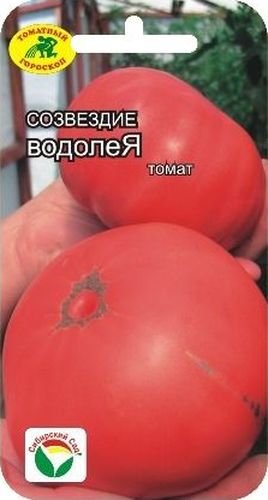 Семена Сибирский сад Томат. ВодолейBP-00000475 Семена Сибирский сад Томат. ВодолейBP-00000475Среднеранний сорт томата Сибирский сад Томат. Водолей доходит высотой до 2 м. В зависимости от сроков посадки формирует до 7 кистей. Плоды гладкие малинового цвета, массой 360-600 гр.