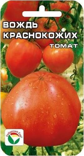 Семена Сибирский сад Томат. Вождь краснокожих, 20 штBP-00000476 Семена Сибирский сад Томат. Вождь краснокожих, 20 штBP-00000476Сорт славится очень вкусными, мясистыми, сахарными плодами розового цвета.Довольно устойчив ко многим грибковым заболеваниям, а также к неблагоприятным погодным условиям. Посев на рассаду производят за 50-60 дней до высадки растений на постоянное место. Оптимальная постоянная температура прорастания семян 23-25°С. При высадке в грунт на 1 м2 размещают 3-4 растения. Сорт хорошо реагирует на полив и подкормки комплексными минеральными удобрениями. Выращивают в 1-2 стебель с подвязкой к опоре и пасынкованием.Для ускорения процесса всхожести семян, оздоровления растений, улучшения завязываемости плодов рекомендуется пользоваться специально разработанными стимуляторами роста и развития растений.