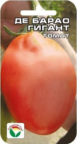 Семена Сибирский сад Томат. Де Барао гигант, 20 штBP-00000498 Семена Сибирский сад Томат. Де Барао гигант, 20 штBP-00000498Среднепоздний сорт для пленочных теплиц и открытого грунта. Растение индетерминантное. От обычного сорта Де Барао отличается большим размером плодов: 10х7 см. В кисти 4-5 кубовидных плода массой 150-300 г каждый. Плоды мясистые, сочные, необычайно вкусны в свежем виде! Сорт универсальный, пригоден для любых видов переработки.Посев на рассаду производят за 50-60 дней до высадки растений на постоянное место. Оптимальная постоянная температура прорастания семян 23-25°С. При высадке в грунт на 1 м2 размещают 3 растения. Сорт хорошо реагирует на полив и подкормки комплексными минеральными удобрениями.Выращивают в 1-2 стебля с подвязкой и пасынкованием.Для ускорения процесса всхожести семян, оздоровления растений, улучшения завязываемости плодов рекомендуется пользоваться специально разработанными стимуляторами роста и развития растений.