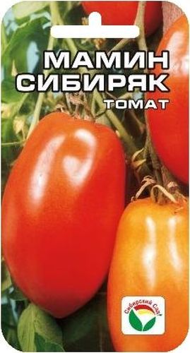 Семена Сибирский сад Томат. Мамин Сибиряк, 20 штBP-00000572 Семена Сибирский сад Томат. Мамин Сибиряк, 20 штBP-00000572Новый высокоурожайный сорт сибирских селекционеров для открытого грунта и пленочных теплиц. Куст высотой 1,2-1,5 м. Плоды красные, перцевидной формы с небольшим утолщением в нижней части, собраны в кисти по 5-7 плодов. В среднем на растении формируется 5-8 кистей. Масса плодов 100-170 г. Сорт обладает великолепными вкусовыми и засолочными качествами, прекрасно подходит для цельноплодного консервирования.Посев на рассаду проводят за 60-70 дней до высадки на постоянное место. Перед посадкой семена замачивают и высевают на глубину 1 см по схеме 3x1,5 см. Оптимальная постоянная температура прорастания семян 23-25°С. Пикировка производится после появления второго настоящего листа. При высадке в грунт на 1 м2 размещают 3-5 растений.Для получения высоких урожаев необходимо обеспечить регулярный полив и подкормки растений в процессе вегетации. Для ускорения процесса всхожести семян, оздоровления растений, улучшения завязываемости плодов рекомендуется пользоваться специально разработанными стимуляторами роста и развития растений.