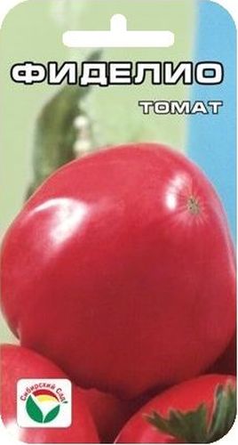 Семена Сибирский сад Томат. Фиделио, 20 штBP-00000690 Семена Сибирский сад Томат. Фиделио, 20 штBP-00000690Новый высокоурожайный крупноплодный сорт сибирской селекции, полученный в результате многолетнего отбора и адаптации к условиям Сибири сорта, завезенного с острова Куба. Сорт среднеспелый, среднерослый (100-150 см), пригоден для выращивания в открытом грунте и теплицах. Плоды крупные (300-800 г), мясистые, привлекательного муаро-розового цвета, сердцевидной формы.Сорт очень урожайный (до 6 кг с растения), хорошо завязывает плоды даже в условиях очень жаркого лета. Для получения наибольшего урожая рекомендуется высаживать не более 3-х растений на 1 м2, выращивать в 1-2 стебля, производить регулярные поливы и подкормки. Для ускорения процесса всхожести семян, оздоровления растений, улучшения завязываемости плодов рекомендуется пользоваться специально разработанными стимуляторами роста и развития растений.
