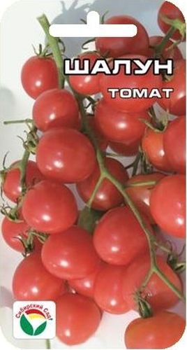 Семена Сибирский сад Томат. Шалун, 20 штBP-00000706 Семена Сибирский сад Томат. Шалун, 20 штBP-00000706Раннеспелый, вишневовидный сорт сибирских селекционеров, формирующий длинные кисти с большим количеством сладких плодов. Растение высокорослое (более 200 см), рекомендуется для выращивания в защищенном грунте. Плоды начинают созревать через 104 дня после появления всходов. В кисти до 30 округлых блестящих малиново-розовых плодов массой 11-14 г, великолепного вкуса и хорошей транспортабельности. Собирают как укороченными кистями, так и отдельными плодами. Свежие черри томаты великолепное лакомство для детей и взрослых, украшение для салатов и фуршетных столов, прекрасно подходят для приготовления вкусного консервированного ассорти. Сорт устойчив к фитофторозу и ВТМ. Урожайность достигает 4,7 кг/м2. Посев на рассаду производят за 50-60 дней до высадки растений на постоянное место. При высадке в грунт на 1 м2 размещают 3 растения. Сорт хорошо реагирует на полив и подкормки комплексными минеральными удобрениями. Выращивается в 1-2 стебля с подвязкой и пасынкованием. При образовании 5-го соцветия удаляют нижние листья, после образования 8 кистей побег прищипывают.
