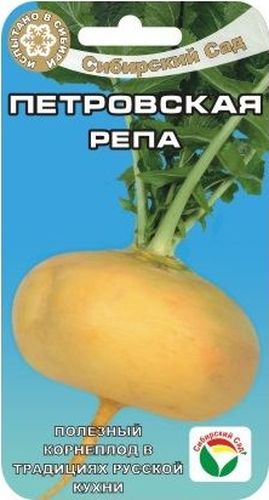 Семена Сибирский сад Репа. Петровская, 1 гBP-00000722 Семена Сибирский сад Репа. Петровская, 1 гBP-00000722Самый популярный среднеранний сорт репы в России. От всходов до готовой продукции - 70-80 дней. Плоды сочные, хорошо хранятся. Мякоть вкусная, питательная, содержит витамины С, В1, В2, В6, РР, большое количество клетчатки, калия и кальция, фосфора, железа, серы, магния, эфирных масел, каротина.Семена высевают на легких супесчаных почвах, суглинистых или торфяных.Летнюю репу сеют в период с 25 апреля по 10 мая, репу для зимнего хранения в первой декаде июня, по 1-2 семечка на сантиметр рядка.Глубина заделки 1,5-2 см, рядки мульчируют перегноем. На 1 м2 располагается около 30-35 растений. Уход заключается в прополке, особенно в рыхлении междурядий. Необходимы обильные поливы. При недостаточном поливе корнеплоды растут плохо, вкус становится горьким, с резким ароматом.