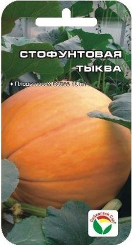 Семена Сибирский сад Тыква. Стофунтовая, 5 штBP-00000732 Семена Сибирский сад Тыква. Стофунтовая, 5 штBP-00000732Старинный русский среднеспелый сорт с очень крупными плодами массой более 10 кг. От появления всходов до созревания проходит 110-115 дней. Плоды крупные, овальные или шаровидные, с гладкой, редко - со слабо сегментированной поверхностью, желтые и оранжевые, с переходами к серому. Мякоть толстая (4-5 см), рыхлая, бело-желтая или оранжевая. Содержит 4-5% сахаров. Сорт пригоден для хранения в течение нескольких месяцев. При перевозке плоды мало повреждаются, сохраняя хороший товарный вид.Урожайность до 100 тонн с 1 га.Выращивается как рассадным способом, так и прямым посевом в грунт. Посев на рассаду - в апреле, высадка в грунт - в мае - июне. Посев непосредственно в грунт в конце мая - июне. Хорошо отзывается на внесение органических удобрений. Схема посадки 60x60 см.