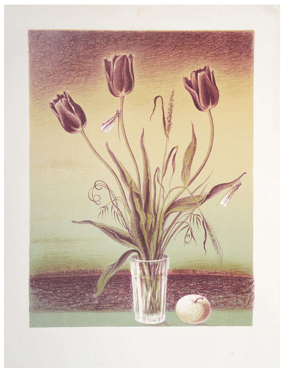 Тюльпаны. Литография. СССР (?), 1970-е годы