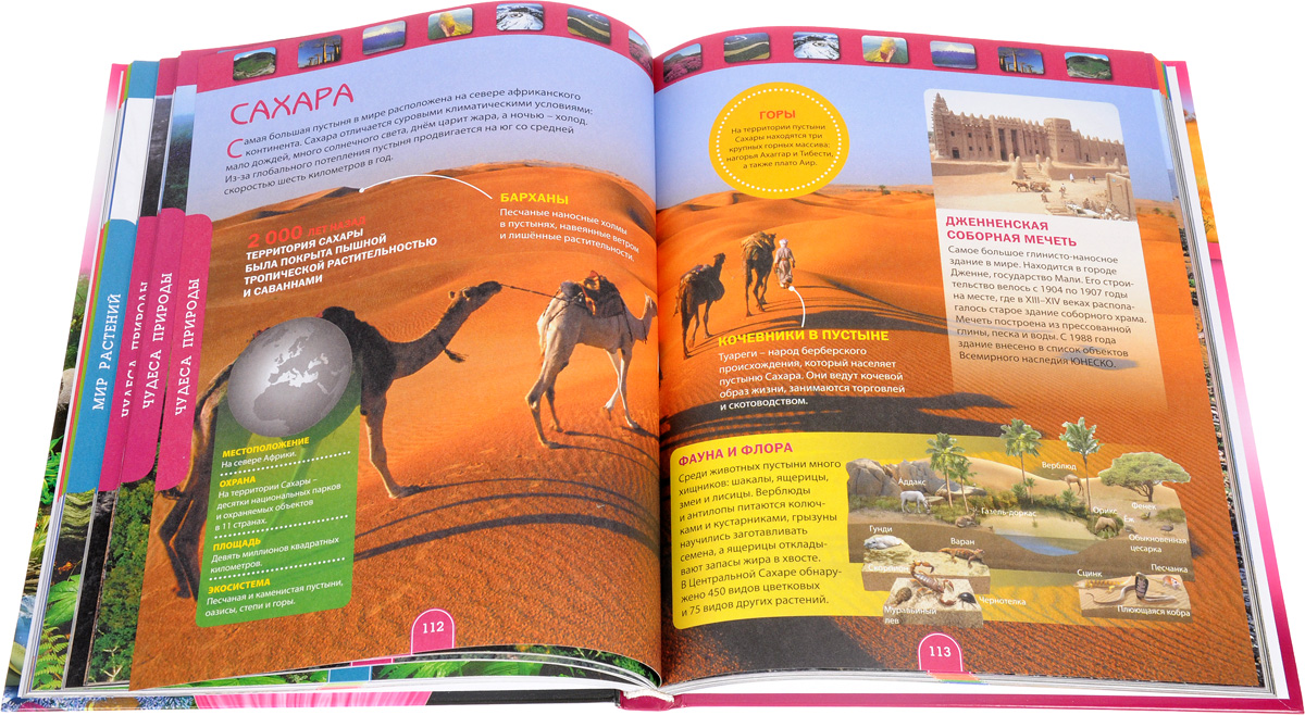 Энциклопедии в мире знаний. Книга животный мир. Удивительный мир энциклопедий. Удивительный мир энциклопедий. Удивительные животные.