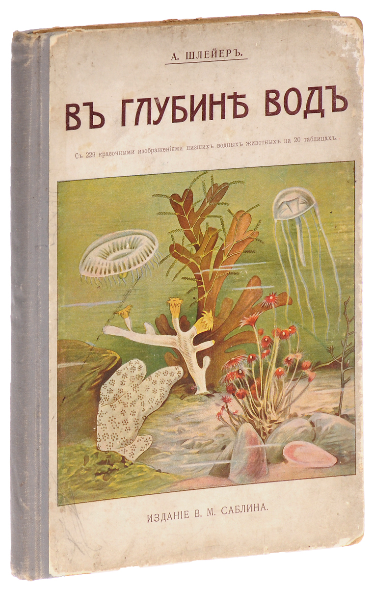 В глубокой воде0120710 В глубокой воде0120710Москва, 1912 год. Издание В. М. Саблина.Великолепно иллюстрированное издание с 20 таблицами в красках.Типографский переплет.Сохранность хорошая.Мир полный красоты представляет собой жизнь вод. Вся пышность садов Семирамиды не может равняться сказочной роскоши океана, в неизмеримых безднах которого встречаются самые редкие, самые удивительные животные. Эти фантастические существа, находящиеся на дне океана, в тайне которого человек стремился проникнуть с незапамятных времен, могут быть сравнены лишь с легендарными чудовищами средневековья, давно уже отошедшими в область фантазии.Как и на земной поверхности, там, в непостижимых глубинах моря, идет беспощадная борьба за существование и случается, что существа, только что появившиеся на свет, в первое же мгновение своего существования становятся добычей более сильных. Однако не одна только борьба царствует в глубине моря, нет, мы видим там, как и на земле, картины сожительства и сердечной, искренней дружбы.Книга эта не представляет собой систематического перечисления живых существ, населяющих воды; в ней в отдельных картинах выведены отличительный формы водного животного царства.Не подлежит вывозу за пределы Российской Федерации.