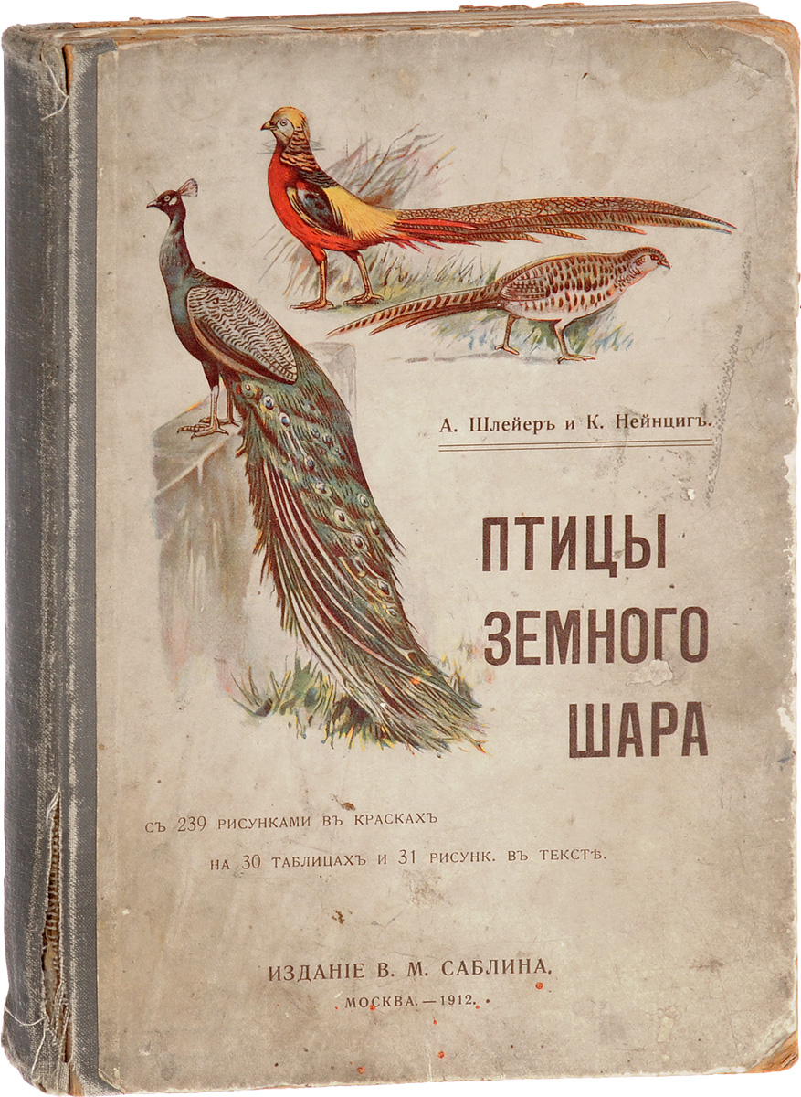 Птицы земного шараMB05-00940 Птицы земного шараMB05-00940Москва, 1912 год. Издание В. М. Саблина.Великолепно иллюстрированное издание с 239 в красках на 30 таблицах и 31 рисунком в тексте.Типографский переплет.Сохранность хорошая.Вниманию читателей предлагается научно-популярная, познавательная книга о птицах, ориентированная на юных читателей. Общая часть книге рассказывает об анатомии птиц - скелете, мышцах, органах чувств, органах пищеварения, кровообращении, дыхании, размножении. В специальной части дана классификация птиц и описания представителей разных групп: хищных, древолазных, певчих, голубиных, куриных, бегающих, болотных, плавающих птиц.Книга прекрасно иллюстрирована и содержит множество цветных и черно-белых изображений птиц.Не подлежит вывозу за пределы Российской Федерации.