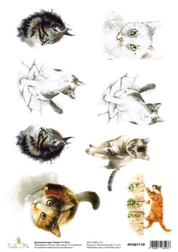 Карта декупажная Hobby&You Кошки, 21 х 30 смHY501119 Карта декупажная Hobby&You Кошки, 21 х 30 смHY501119Декупажная карта Hobby&You прекрасно подходит для декорирования предметов из керамики, пластика, дерева, стекла, фанеры, металла, текстиля и других материалов.Она выполнена из гладкой бумаги.Размер 21 х 30 см.