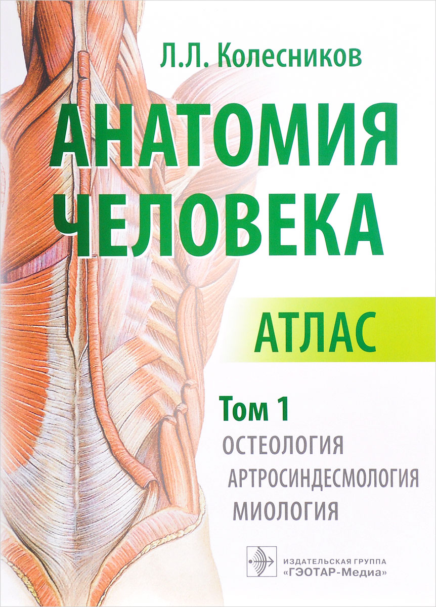Анатомия человека. Атлас. В 3 томах. Том 1. Остеология, артросиндесмология, миология. Л. Л. Колесников