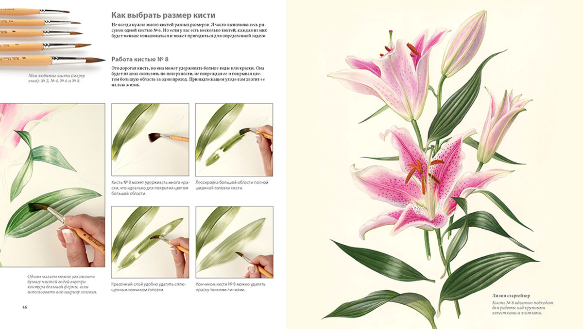 Ботаническая иллюстрация пошаговое руководство от эскиза до готовой композиции