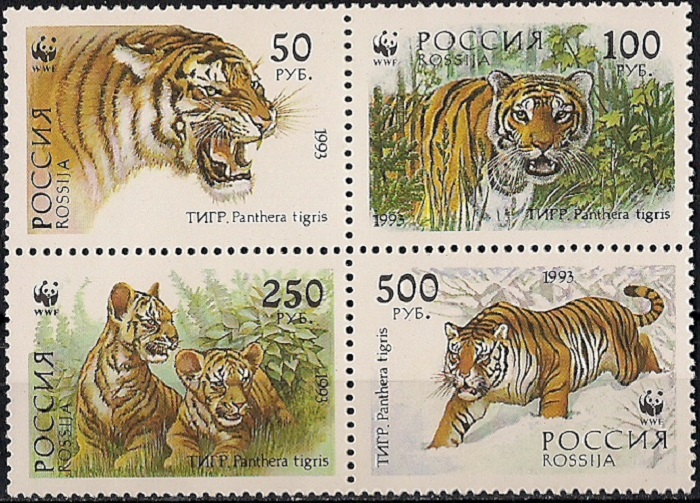 1993. Уссурийский тигр. № 124 - 127сц. Сцепка