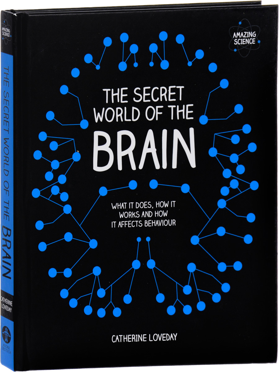 The Secret World of the Brain