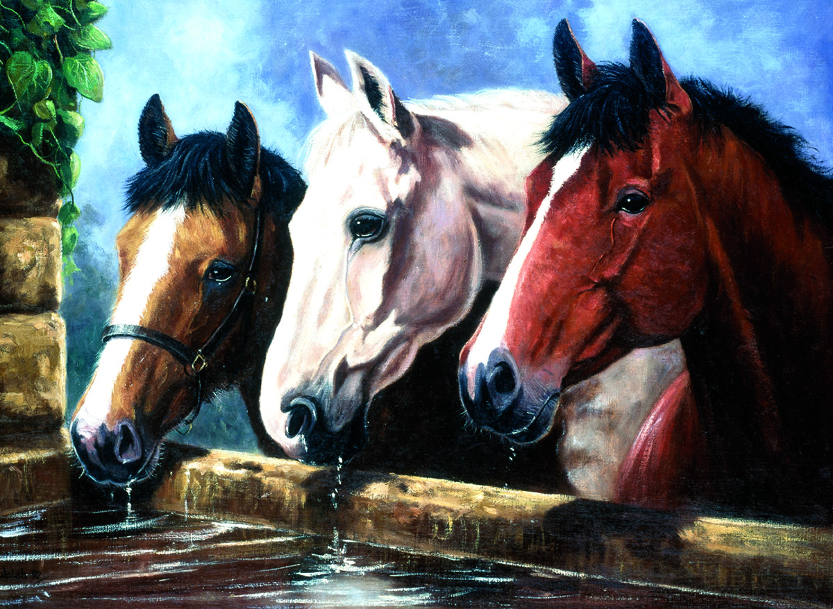 Royal & Langnickel Картина по номерам Три лошади