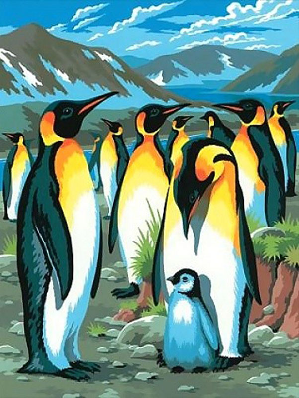 KSG Картина по номерам Пингвины