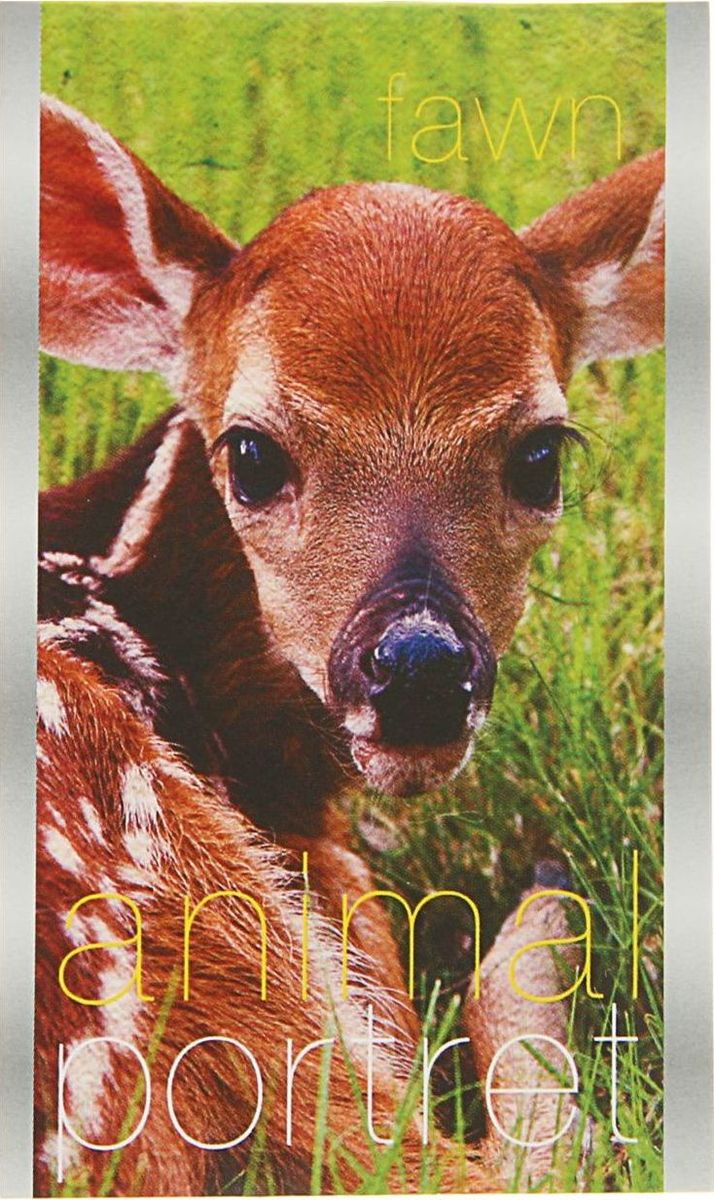 ТетраПром Блокнот Animal Portret 32 листа1771592 ТетраПром Блокнот Animal Portret 32 листа1771592Блокнот ТетраПром Animal Portret - компактное и практичное полиграфическое изделие, предназначенное для записей и заметок. Такой аксессуар прекрасно подойдёт для фиксации повседневных дел.Это канцелярское изделие отличается красочным оформлением и придётся по душе как взрослому, так и ребёнку.