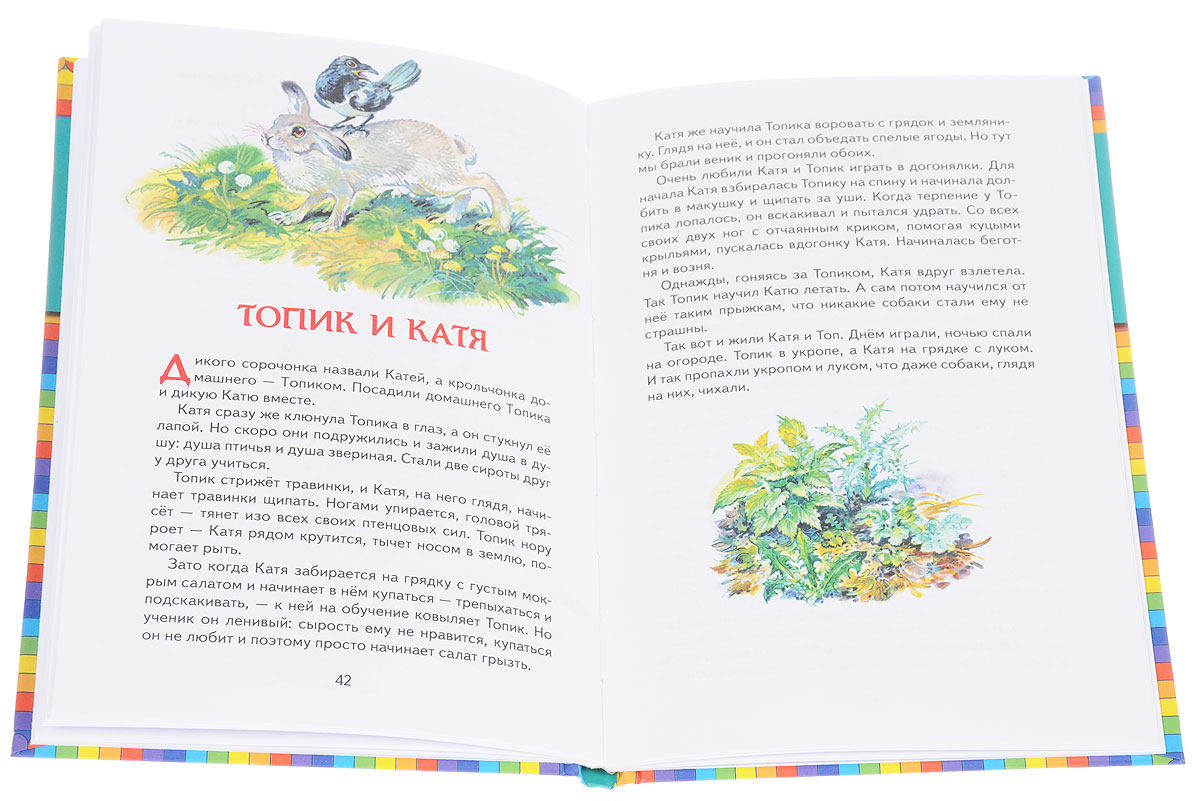 Рассказ лесные тайнички сладков. Сладков топик и катя. Толик,и,катя. Сладков топик и катя текст. Н и сладков топик и катя.