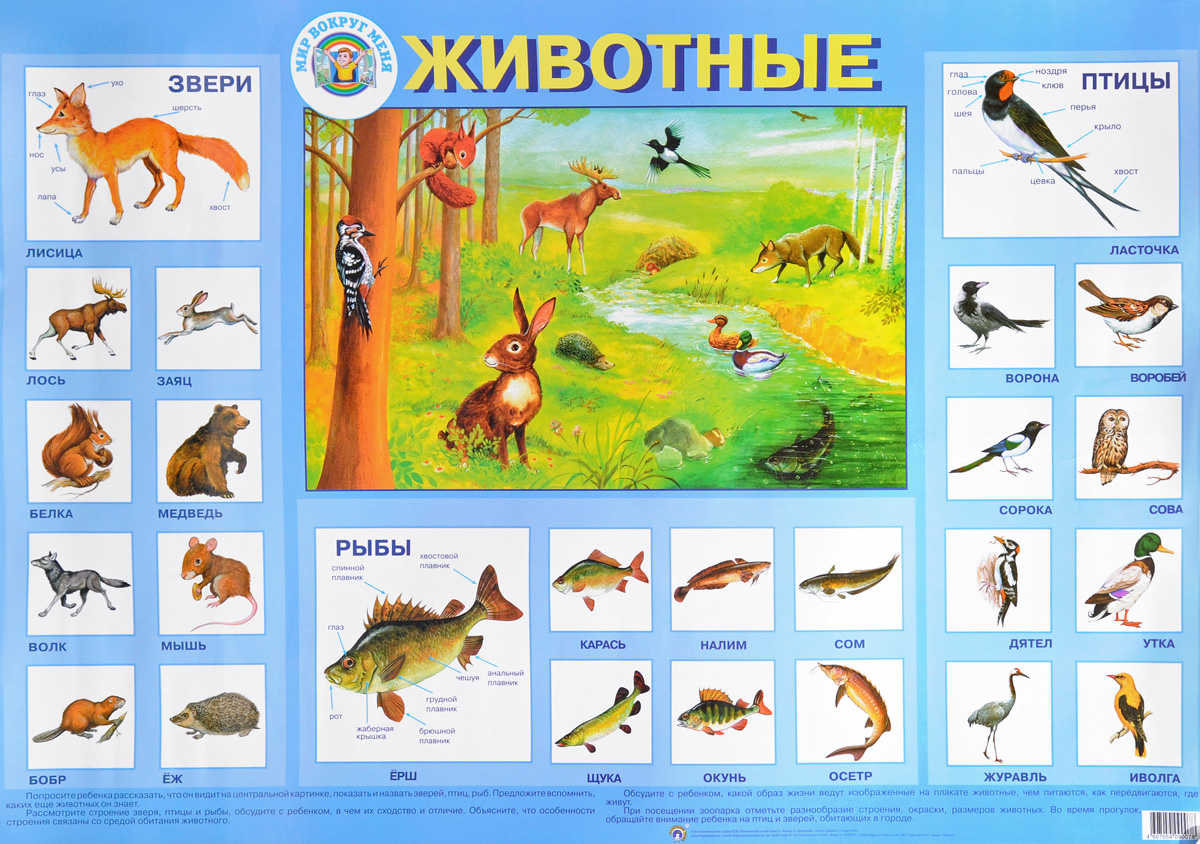 Животные. Плакат. Л. Данилова