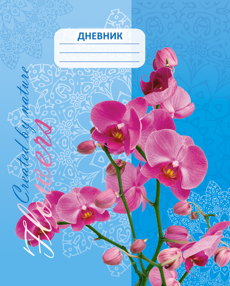 Апплика Дневник школьный ОрхидеяС3615-02 Апплика Дневник школьный ОрхидеяС3615-02Школьный дневник Апплика Орхидея - поможет вашему ребенку не забыть свои задания, а вы всегда сможете проконтролировать его успеваемость. Обложка выполнена из картона, что позволит сохранить дневник в аккуратном состоянии на протяжении всего времени использования.