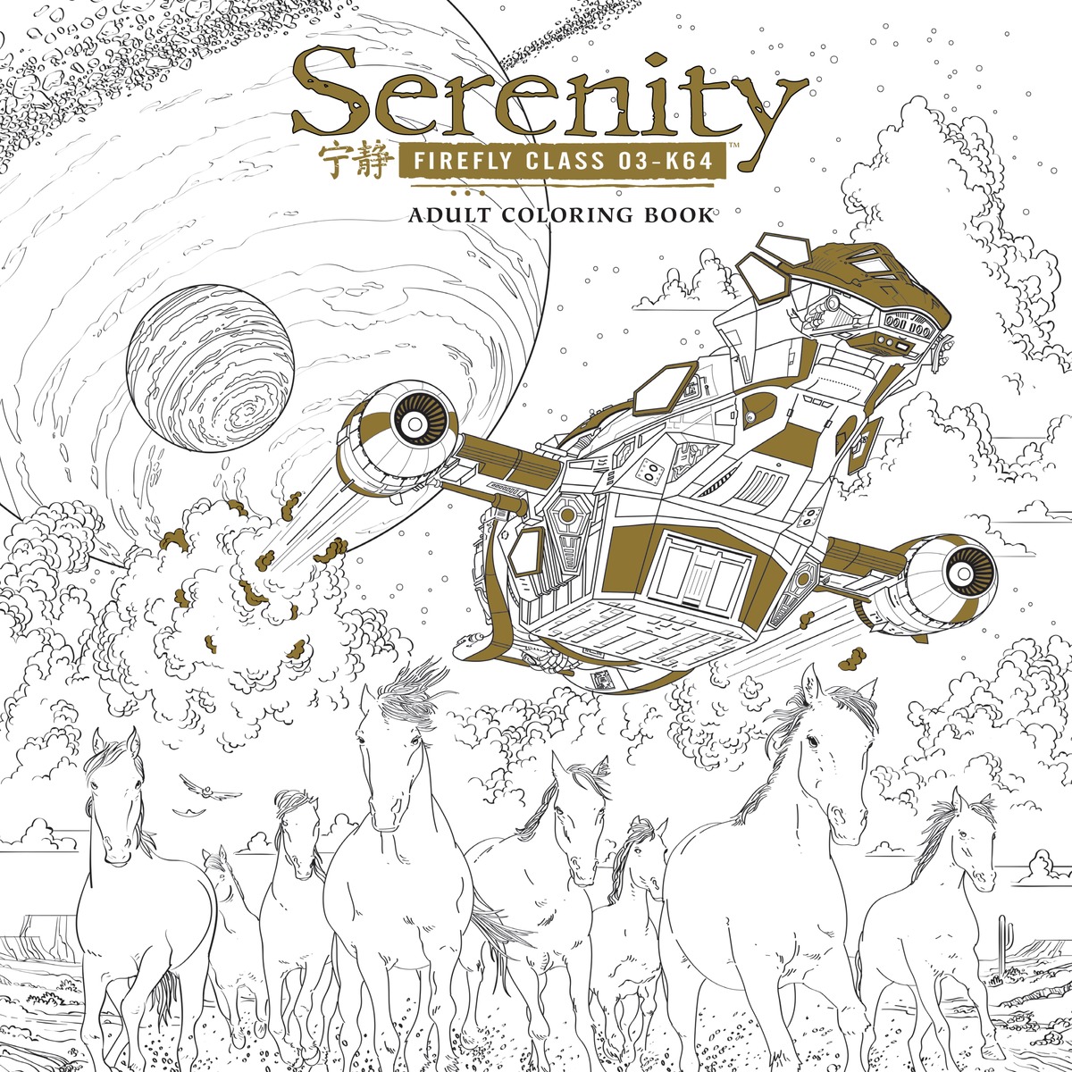 Serenity Adult Coloring Book the book of serenity