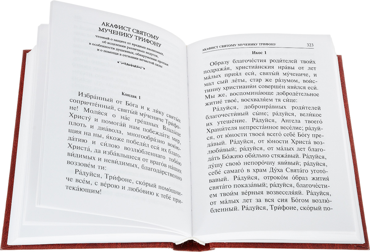 Акафист пресвятой богородице текст