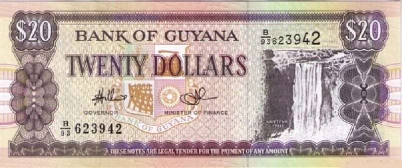 Банкнота номиналом 20 долларов. Гайана. 1996-2016 гг.