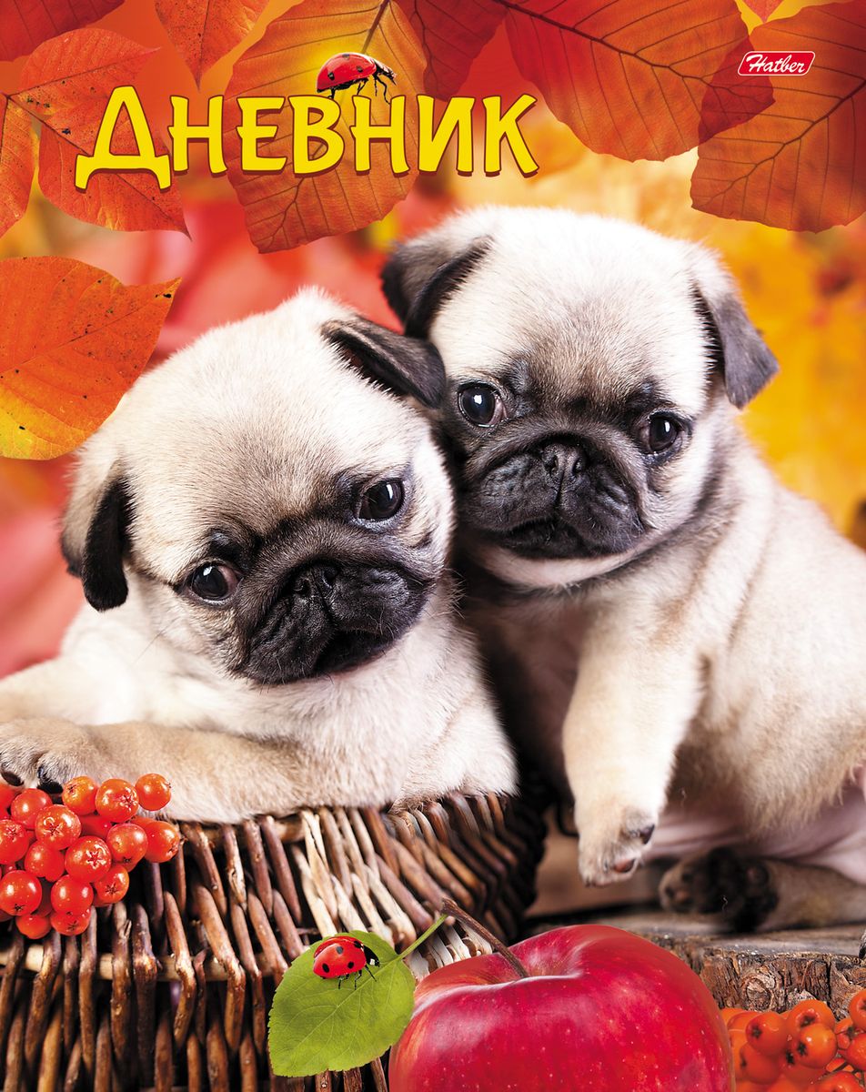 Hatber Дневник школьный Очаровательные щенки40ДТ5В_16149 Hatber Дневник школьный Очаровательные щенки40ДТ5В_16149Школьный дневник Hatber Очаровательные щенки в твердом переплете поможет вашему ребенку не забыть свои задания, а вы всегда сможете проконтролировать его успеваемость.Внутренний блок дневника состоит из 40 листов бумаги. Дневник в твердой обложке очень удобен в использовании. В качестве дизайна подобрана самая современная и интересная тема.Дневник станет надежным помощником ребенка в получении новых знаний и принесет радость своему хозяину в учебные будни.