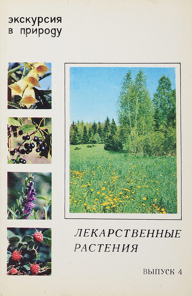 Лекарственные растения. Выпуск 4 (набор из 25 открыток)