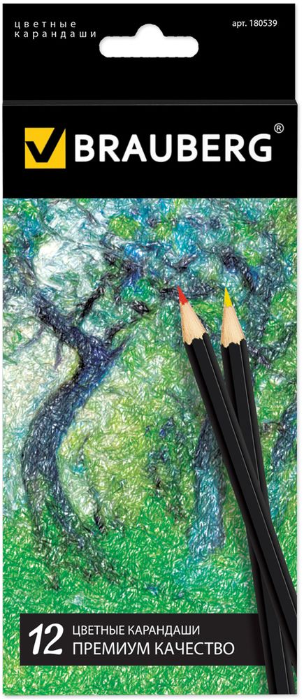 Brauberg Набор цветных карандашей Artist Line 12 цветов