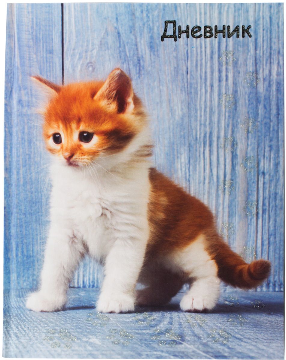 Brauberg Дневник школьный Милый котенок104232 Brauberg Дневник школьный Милый котенок104232Дневник Brauberg для младших классов с матовым покрытием поможет вашему ребенку не забыть свои задания, а вы всегда сможете проконтролировать его успеваемость.Твердая обложка надежно защищает внутренний блок и долго сохраняет привлекательный внешний вид. Дневник содержит справочный материал для школьника.Дневник станет надежным помощником ребенка в получении новых знаний и принесет радость своему хозяину в учебные будни.