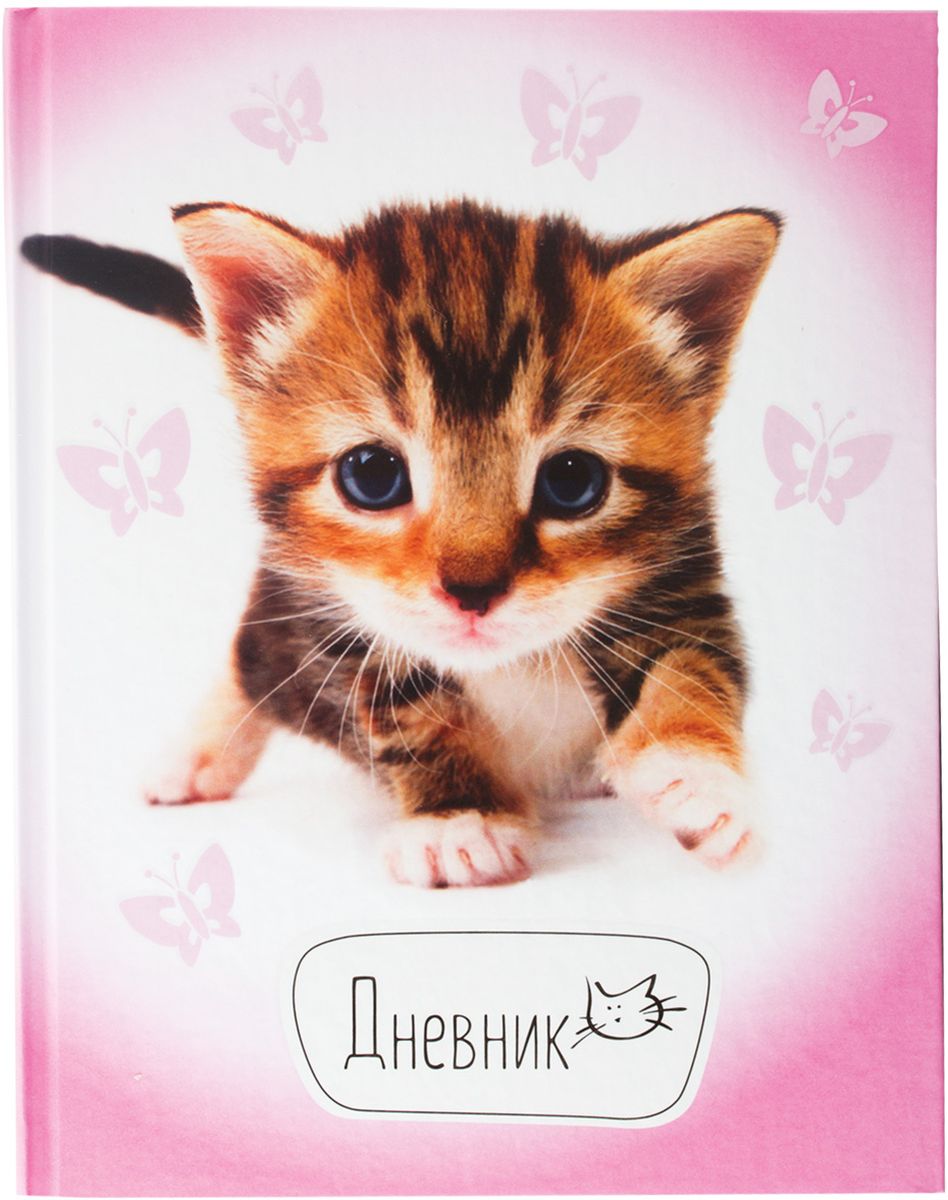 Brauberg Дневник школьный Котенок104234 Brauberg Дневник школьный Котенок104234Дневник Brauberg для младших классов с матовым покрытием поможет вашему ребенку не забыть свои задания, а вы всегда сможете проконтролировать его успеваемость.Твердая обложка надежно защищает внутренний блок и долго сохраняет привлекательный внешний вид. Дневник содержит справочный материал для школьника.Дневник станет надежным помощником ребенка в получении новых знаний и принесет радость своему хозяину в учебные будни.
