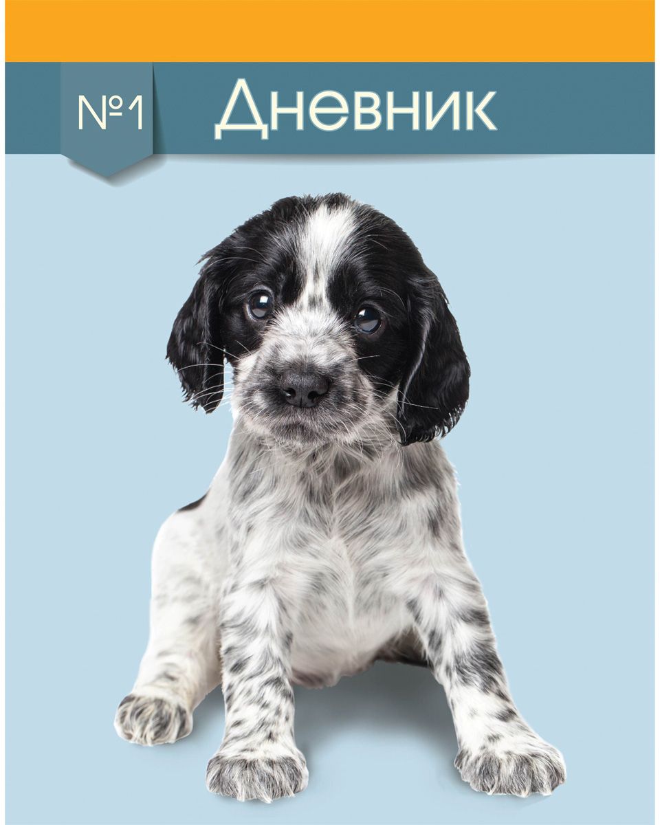 Brauberg Дневник школьный Щенок для 5-11 классов104273 Brauberg Дневник школьный Щенок для 5-11 классов104273Дневник Brauberg для учащихся старших классов с глянцевым покрытием поможет вашему ребенку не забыть свои задания, а вы всегда сможете проконтролировать его успеваемость.Твердая обложка надежно защищает внутренний блок и долго сохраняет привлекательный внешний вид. Обложка выполнена из твердого картона. Внутренний блок дневника состоит из 48 листов одноцветной бумаги.Дневник станет надежным помощником ребенка в получении новых знаний и принесет радость своему хозяину в учебные будни.