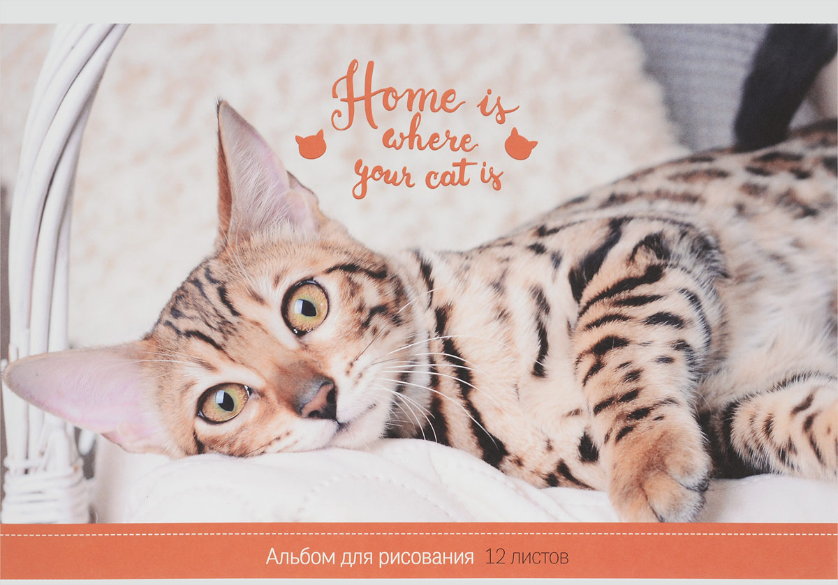 ArtSpace Альбом для рисования Where Your Friend 12 листовА12ф_14194 ArtSpace Альбом для рисования Where Your Friend 12 листовА12ф_14194Альбом для рисования ArtSpace непременно порадует маленького художника и вдохновит его на творчество.Высокое качество бумаги позволяет карандашам, фломастерам и краскам ровно ложиться на поверхность и не растекаться по листу. Способ крепления - скрепки.Занимаясь изобразительным творчеством, ребенок тренирует мелкую моторику рук, становится более усидчивым и спокойным и, конечно, приобщается к общечеловеческой культуре.