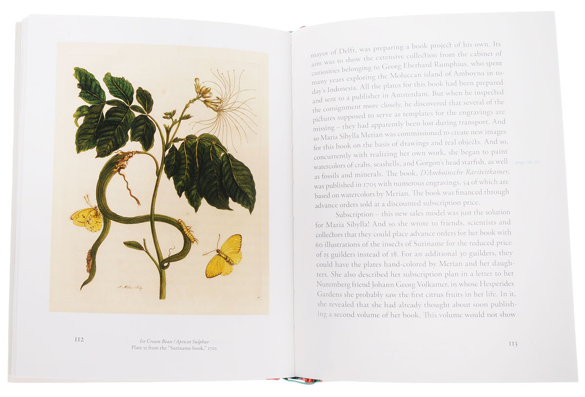 A Butterfly Journey: Maria Sibylla Merian: Artist and Scientist