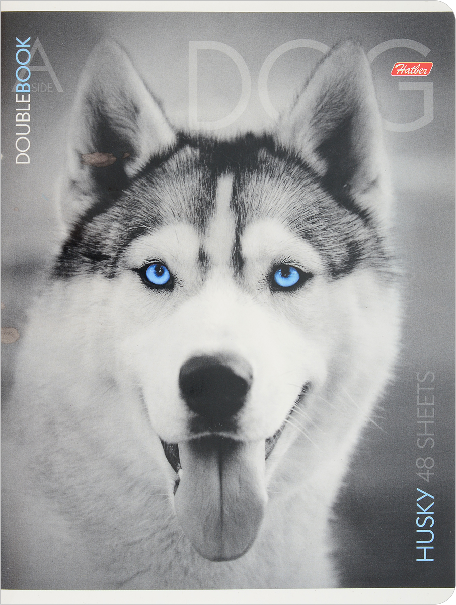 Hatber Тетрадь Husky Scottish 48 листов в клетку48Тд5B1_06490_новый дизайн Hatber Тетрадь Husky Scottish 48 листов в клетку48Тд5B1_06490_новый дизайнТетрадь Hatber Husky Scottish двойная с обложками-перевертышами.Тетрадь подойдет как школьнику, так и студенту. Обложка тетради с закругленными углами выполнена из плотного картона, что позволит сохранить ее в аккуратном состоянии на протяжении всего времени использования.Внутренний блок тетради, соединенный двумя металлическими скрепками, состоит из 48 листов белой бумаги. Стандартная линовка в клетку голубого цвета дополнена полями.