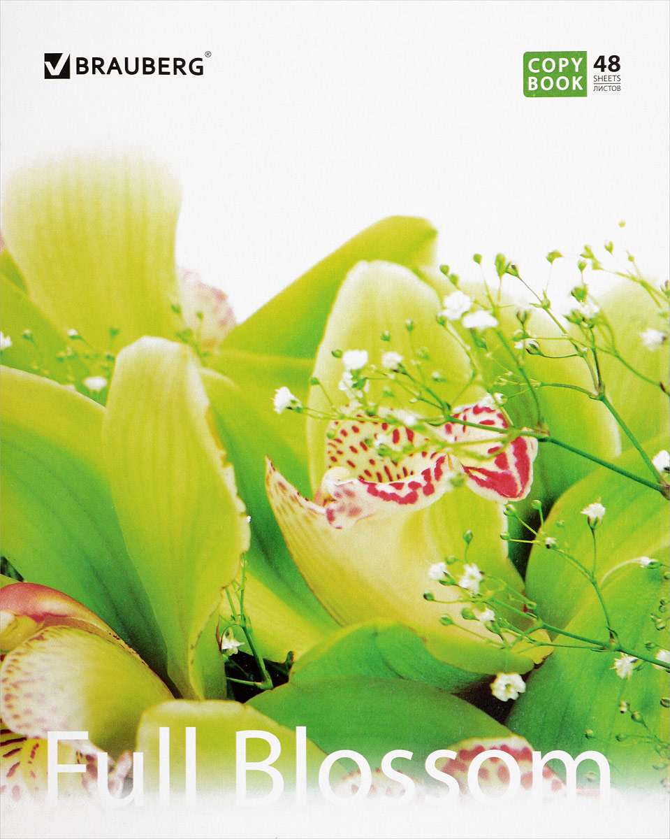 Brauberg Тетрадь Full Blossom 48 листов в клетку401808 Brauberg Тетрадь Full Blossom 48 листов в клетку401808Тетрадь Brauberg Full Blossom подойдет как школьнику, так и студенту. Обложка тетради выполнена из плотного картона, что позволит сохранить ее в аккуратном состоянии на протяжении всего времени использования.Внутренний блок тетради, соединенный двумя металлическими скрепками, состоит из 48 листов белой бумаги. Стандартная линовка в клетку голубого цвета дополнена полями.