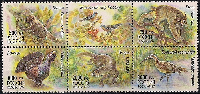 1997. Животный мир России. № 376 - 380сц. Сцепка