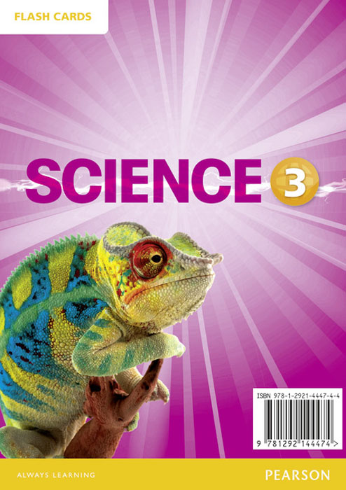 Big Science 3: Flashcards