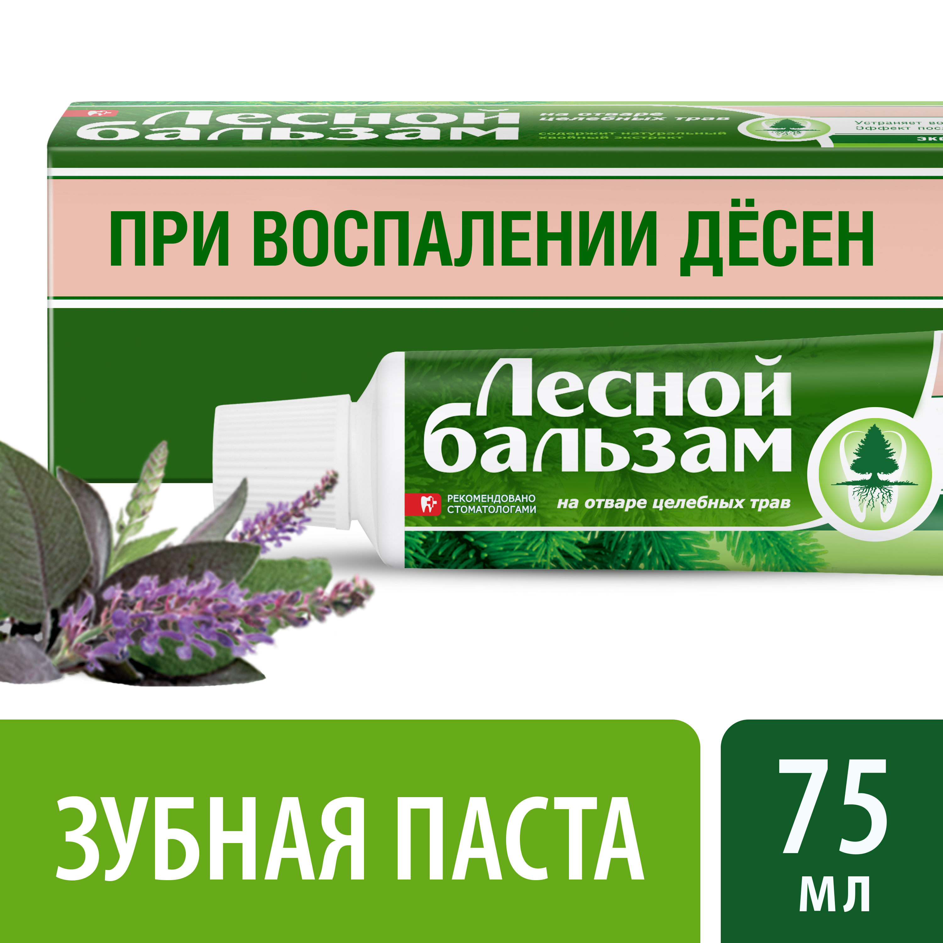 Лесной Бальзам Зубная паста При воспалении десен 75 мл1104734242 Лесной Бальзам Зубная паста При воспалении десен 75 мл1104734242Зубную пасту рекомендуется использовать при появлении воспалительных процессов, зуда и жжения в деснах. Содержит экстракты шалфея и алое вера.