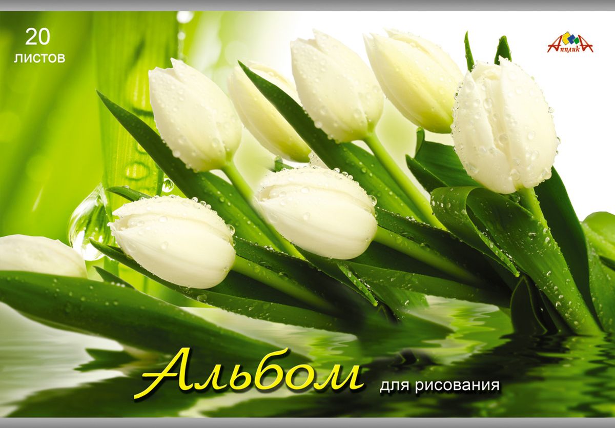 Апплика Альбом для рисования Белые тюльпаны 20 листовС0550-25 Апплика Альбом для рисования Белые тюльпаны 20 листовС0550-25Альбом для рисования Апплика Белые тюльпаны прекрасно подходит для рисования карандашами и мелками. Обложка выполнена из целлюлозного мелованного картона двухстороннего мелования с блестками. Крепление - скобы. Альбом для рисования непременно порадует художника и вдохновит его на творчество. Рисование позволяет развивать творческие способности, кроме того, это увлекательный досуг.