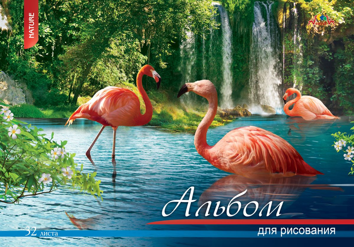 Апплика Альбом для рисования Фламинго 32 листаС3613-01 Апплика Альбом для рисования Фламинго 32 листаС3613-01Альбом для рисования Апплика формата А4 порадует маленького художника и вдохновит его на творчество.Альбом изготовлен из белоснежной офсетной бумаги 110 г/м2 с яркой обложкой из мелованного картона. Внутренний блок альбома, соединенный гребнем, состоит из 32 листов. Высокое качество бумаги позволяет рисовать в альбоме карандашами, фломастерами, акварельными и гуашевыми красками.