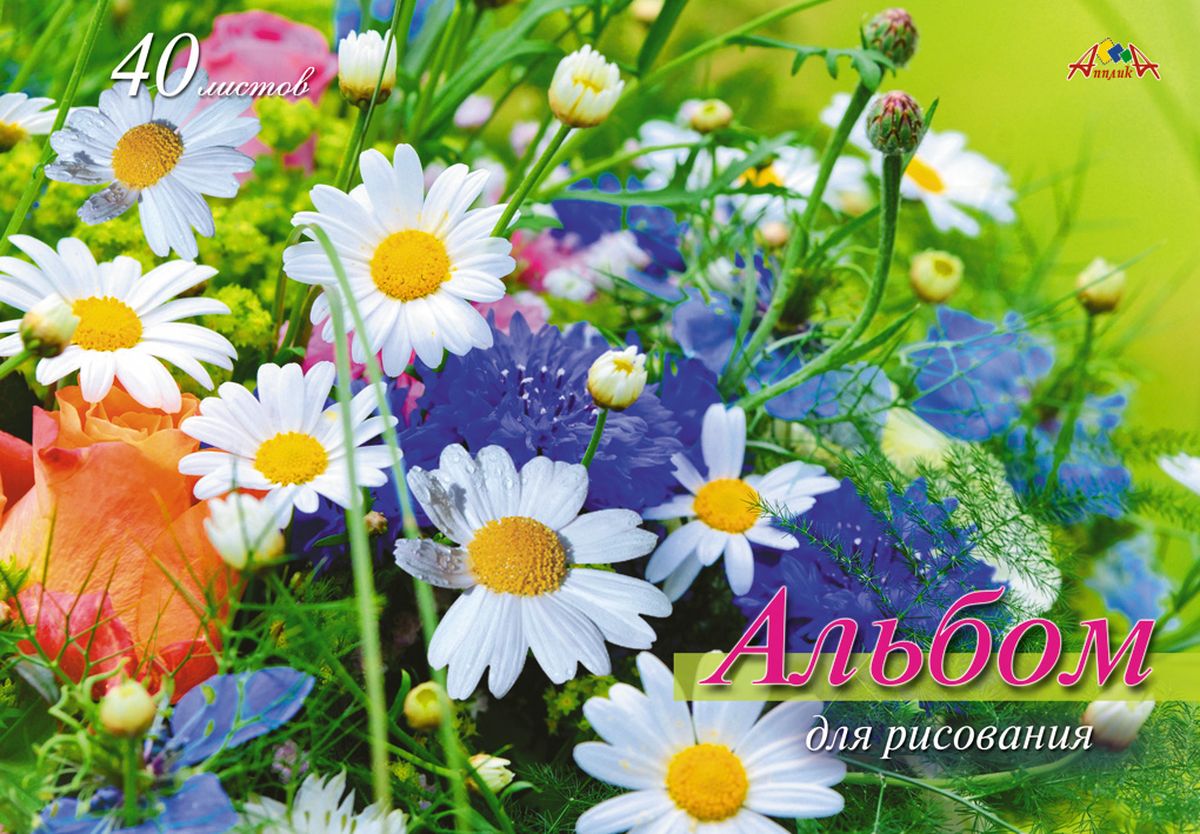 Апплика Альбом для рисования Поле с ромашками 40 листовС0225-40 Апплика Альбом для рисования Поле с ромашками 40 листовС0225-40Альбом для рисования Апплика формата А4 порадует маленького художника и вдохновит его на творчество.Альбом изготовлен из белоснежной офсетной бумаги 110 г/м2 с яркой обложкой из мелованного картона. Внутренний блок альбома, соединенный гребнем, состоит из 40 листов. Высокое качество бумаги позволяет рисовать в альбоме карандашами, фломастерами, акварельными и гуашевыми красками.