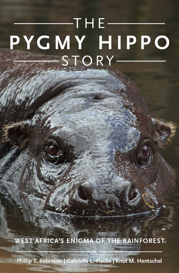 The Pygmy Hippo Story the pygmy hippo story