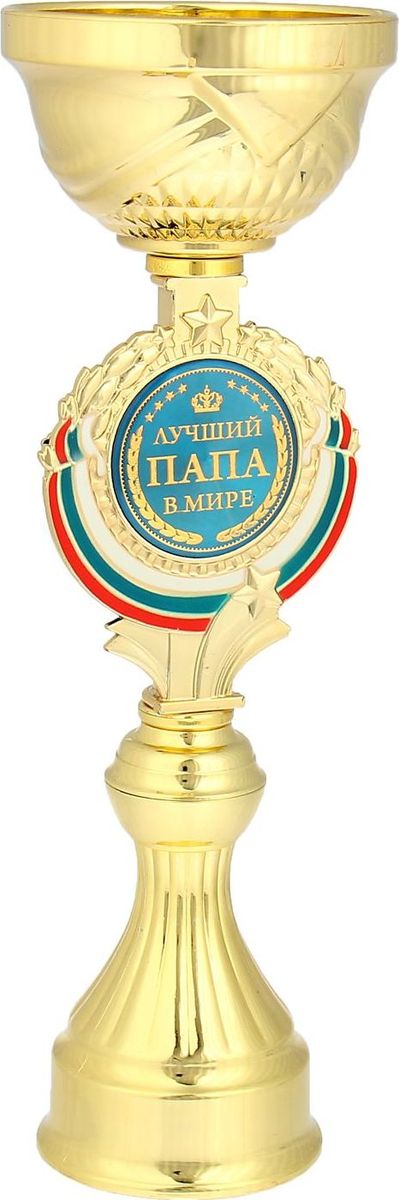 Кубок сувенирный Лучший папа в мире. 844022844022 Кубок сувенирный Лучший папа в мире. 844022844022Кубок Лучший папа в мире станет самой лучшей наградой и подарком, поскольку сочетает в себе качество и интересный дизайн! Уникальный сувенир неповторим по своей форме, второго такого вы не найдёте. Он дополнен цветной бляшкой, изготовленной из металла, с наименованием номинации, за которую вручается. Упаковка для кубка из гофрокартона надёжно защищает его от повреждения при транспортировке и служит отличным вариантом подарочной упаковки. На обороте коробки получатель найдёт добрые слова и тёплые пожелания.