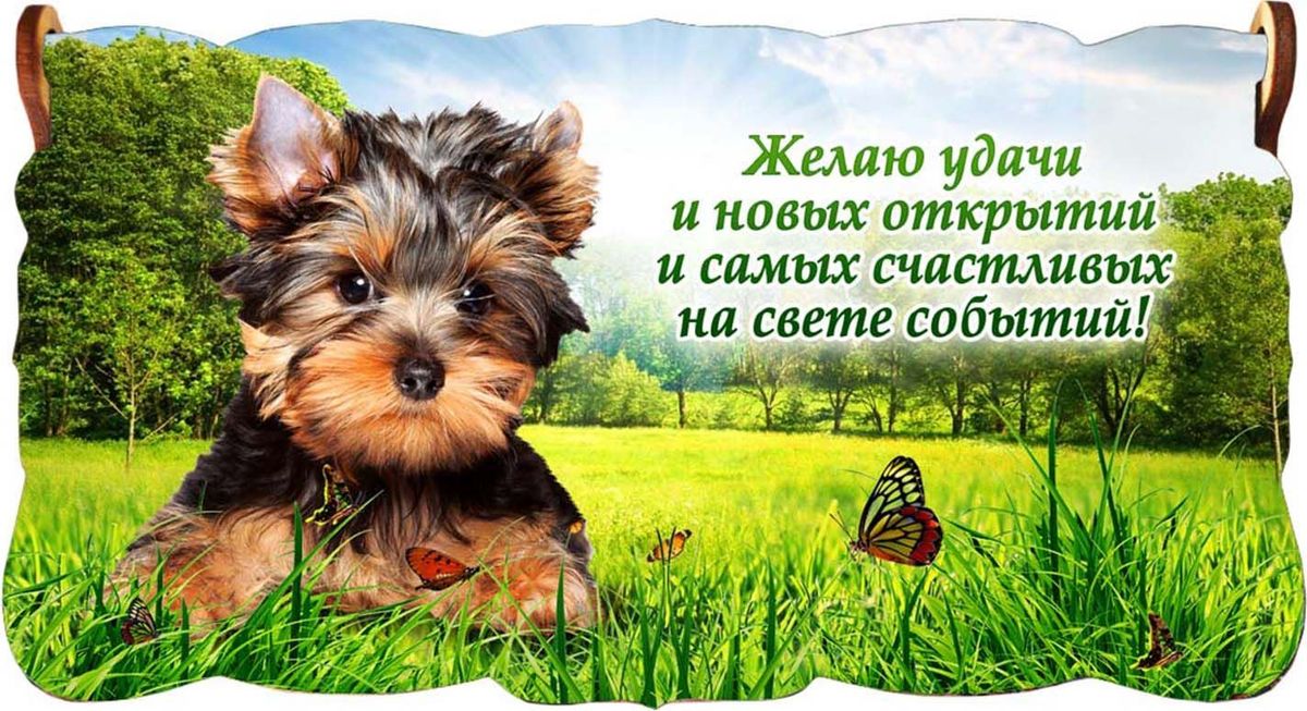 Инструментов для, открытка на новую работы