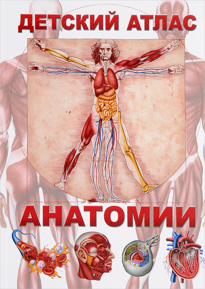 Детский атлас анатомии. Гуиди Винченцо