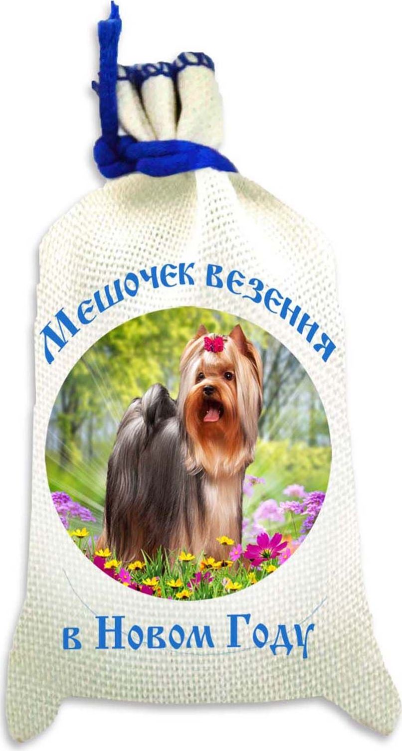 Магнит Sima-land Мешочек везения в Новом Году. Собачка на полянке, 10 х 6 см2246936 Магнит Sima-land Мешочек везения в Новом Году. Собачка на полянке, 10 х 6 см2246936Порадуйте родных и близких оригинальным сувениром: преподнесите в подарок магнит. С ним даже самый серьёзный человек почувствует себя ребёнком, ожидающим чудо! Создайте праздничное настроение, и оно останется с вами на весь год.