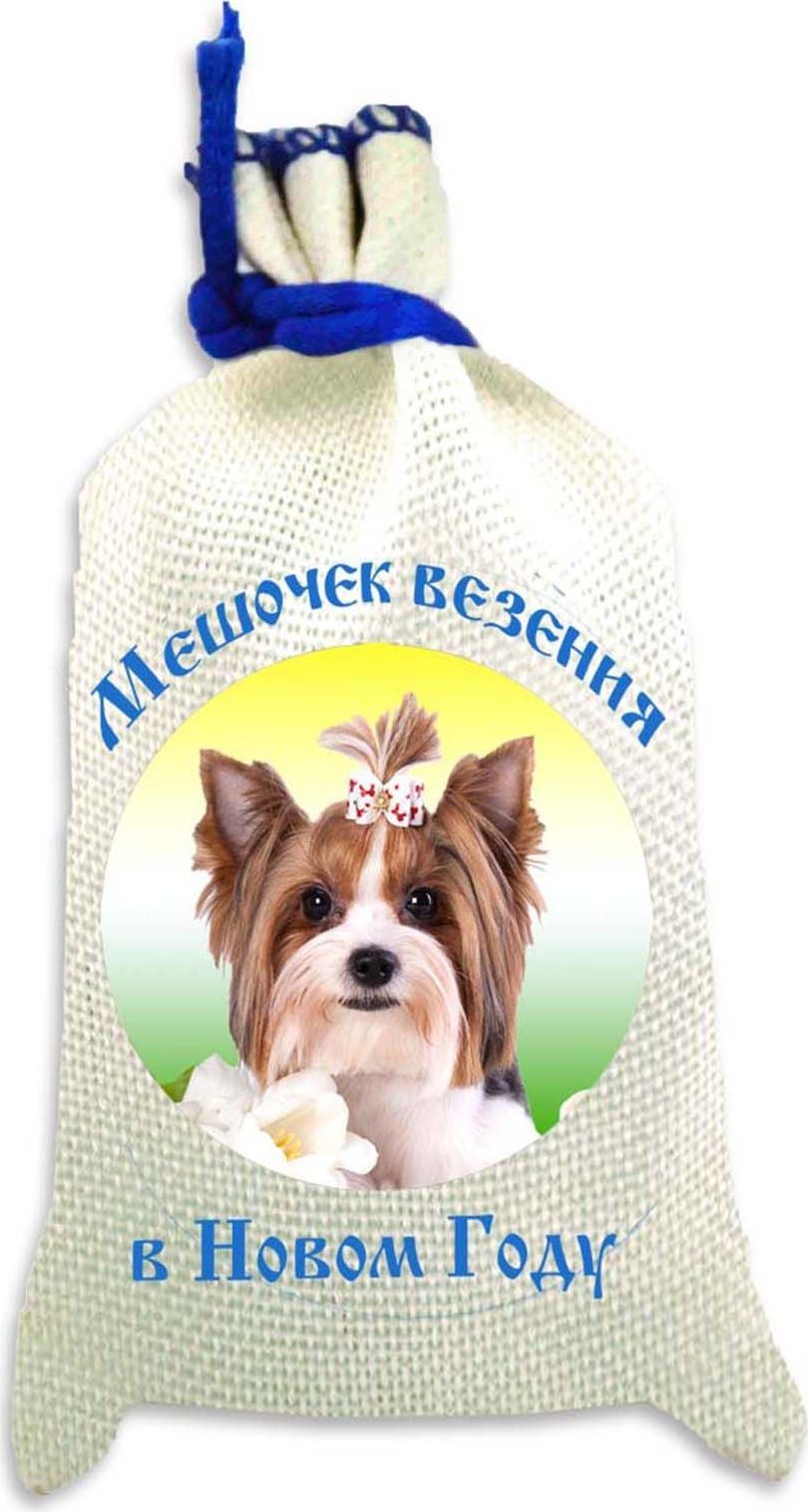 Магнит Sima-land Мешочек везения в Новом Году. Собачка с белым бантом, 10 х 6 см2246954 Магнит Sima-land Мешочек везения в Новом Году. Собачка с белым бантом, 10 х 6 см2246954Порадуйте родных и близких оригинальным сувениром: преподнесите в подарок магнит. С ним даже самый серьёзный человек почувствует себя ребёнком, ожидающим чудо! Создайте праздничное настроение, и оно останется с вами на весь год.